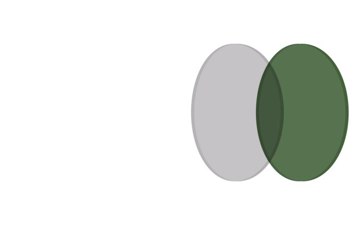 grigio+DIN_verde